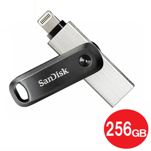 SanDisk SDIX60N-256G-GN6NE
